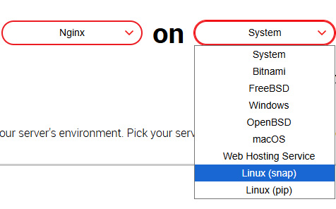 certbot choose software and system