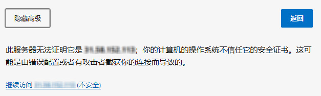 浏览器安全访问继续