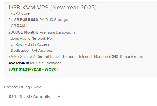 RackNerd云服务器账单周期选择