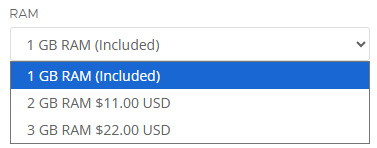 RackNerd的服务器额外内存